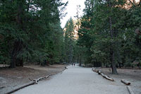 Yosemite Valley - Bike Path