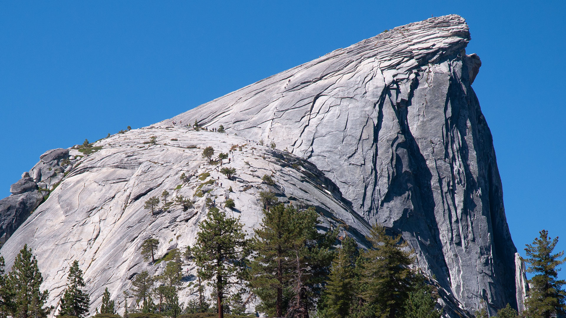 Half Dome's East Face and Cables