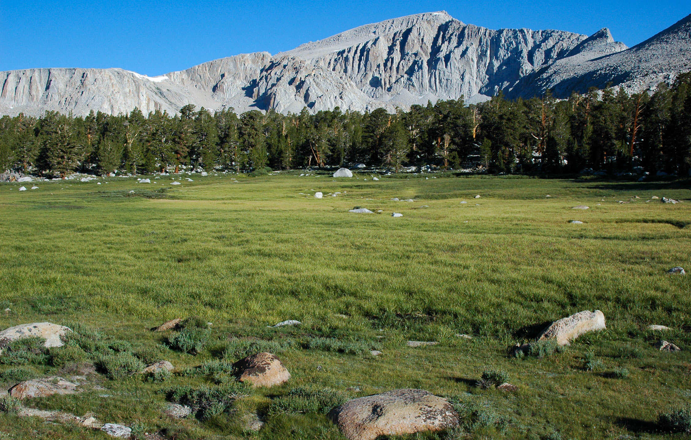 Mount Langley's South Face