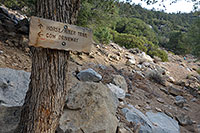 Cow Driveway Sign