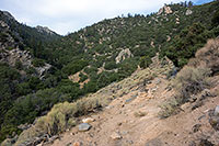 Looking Toward Sage Pass