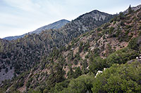 Subpeaks towering overhead