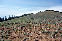 Olancha Pass, Looking South