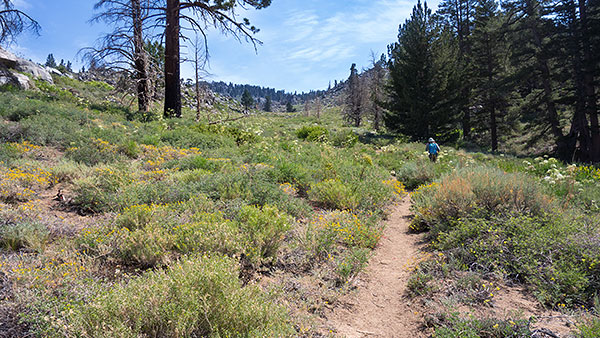 Hiking the Pacific Crest Trail