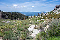 Looking Toward Monache Meadow