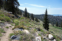 PCT: Looking South