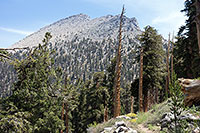 Olancha Peak: West Face