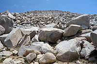 Talus