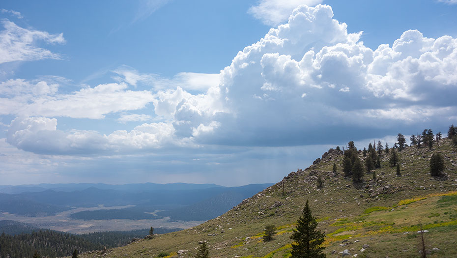 Pacific Crest Trail and Monache Meadows