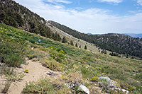 Pacific Crest Trail