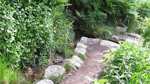 Mount Whitney Trail