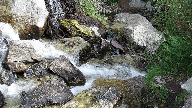 Creek Crossing