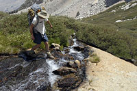 North Fork - Creek Crossing