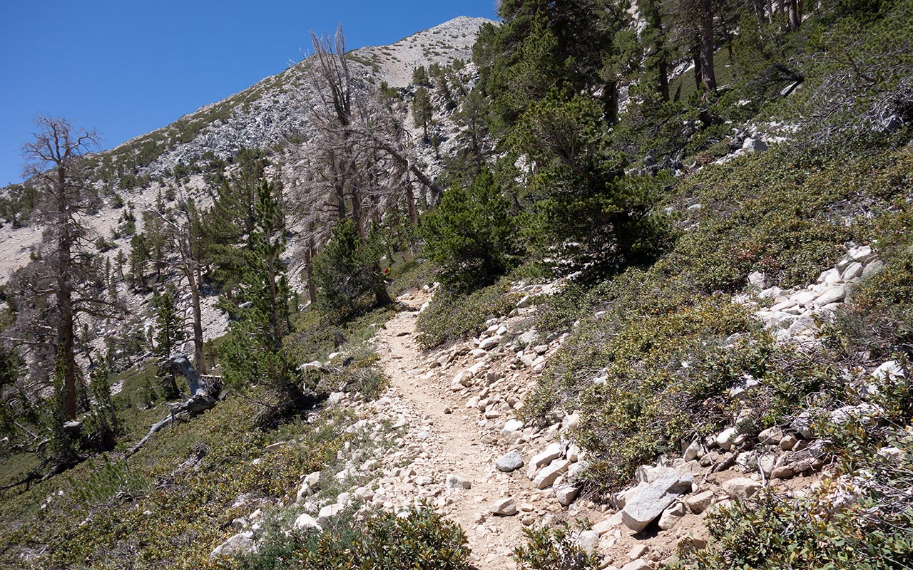 San Gorgonio Mountain: East Chutes