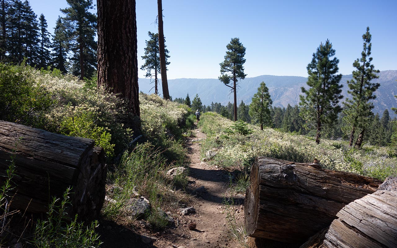 South Fork Trail