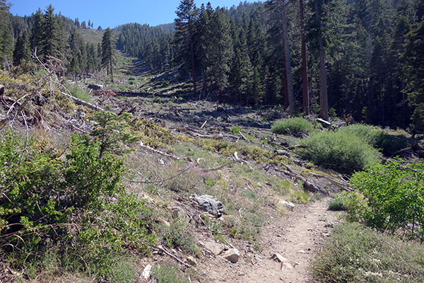 Avalanche on Alto-Diablo Peak