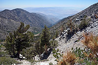 North Fork, Whitewater Canyon