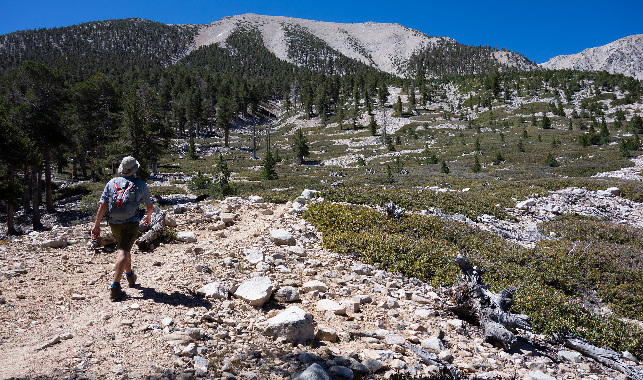 Hiking San Gorgonio Mountain