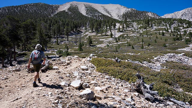 The South Fork Loop