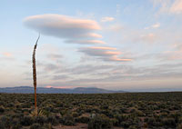 High Plains Along the Rim