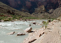 Little Colorado River