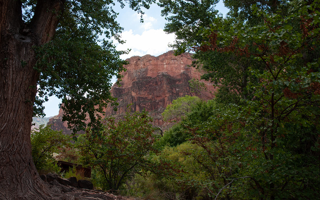 Grand Canyon - Indian Garden