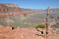 Grand Canyon & Tonto Plateau