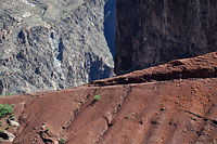 Hiker and Gorge