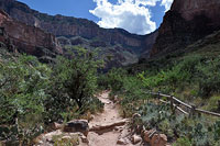 Bright Angel Trail