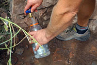 Filling Up the Water Bottle