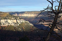 Atop the North Rim