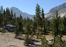 Center Peak