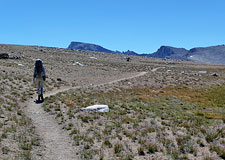 Hiking Bighorn Plateau