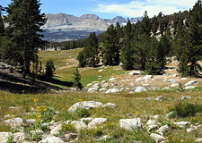 The Kaweah Mountains