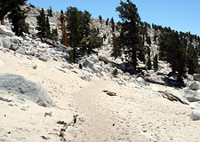 Sand below Cirque Peak