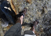 Creek Crossing