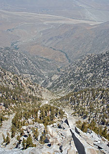 Looking Down Snow Creek