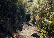 Mishe Mokwa Trail