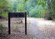 Sycamore Grove & Trail Sign