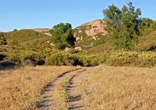 The Backbone Trail