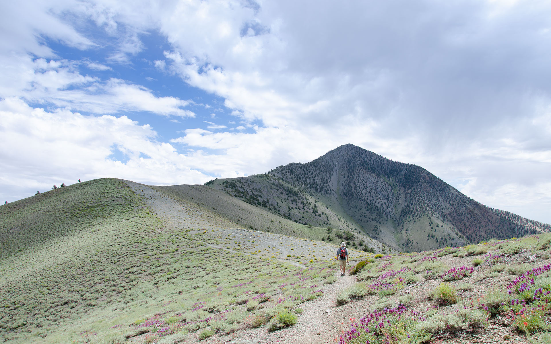 Trevor Benedict hikes along Telescope Peak's North Ridge