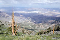 Death Valley