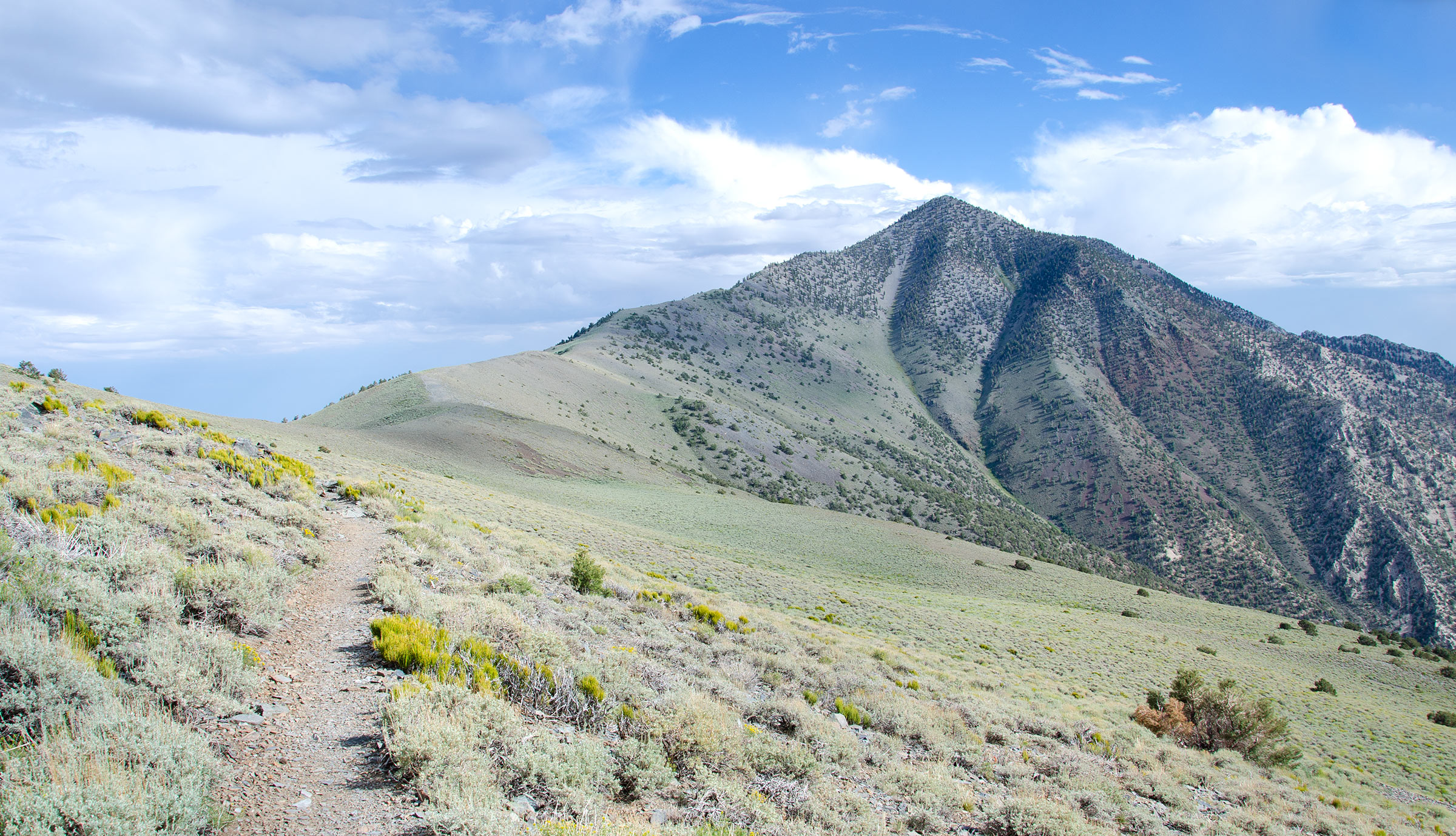 Telescope Peak