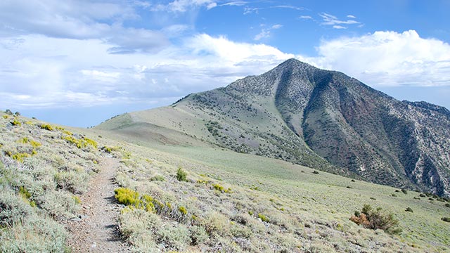 Telescope Peak Trail