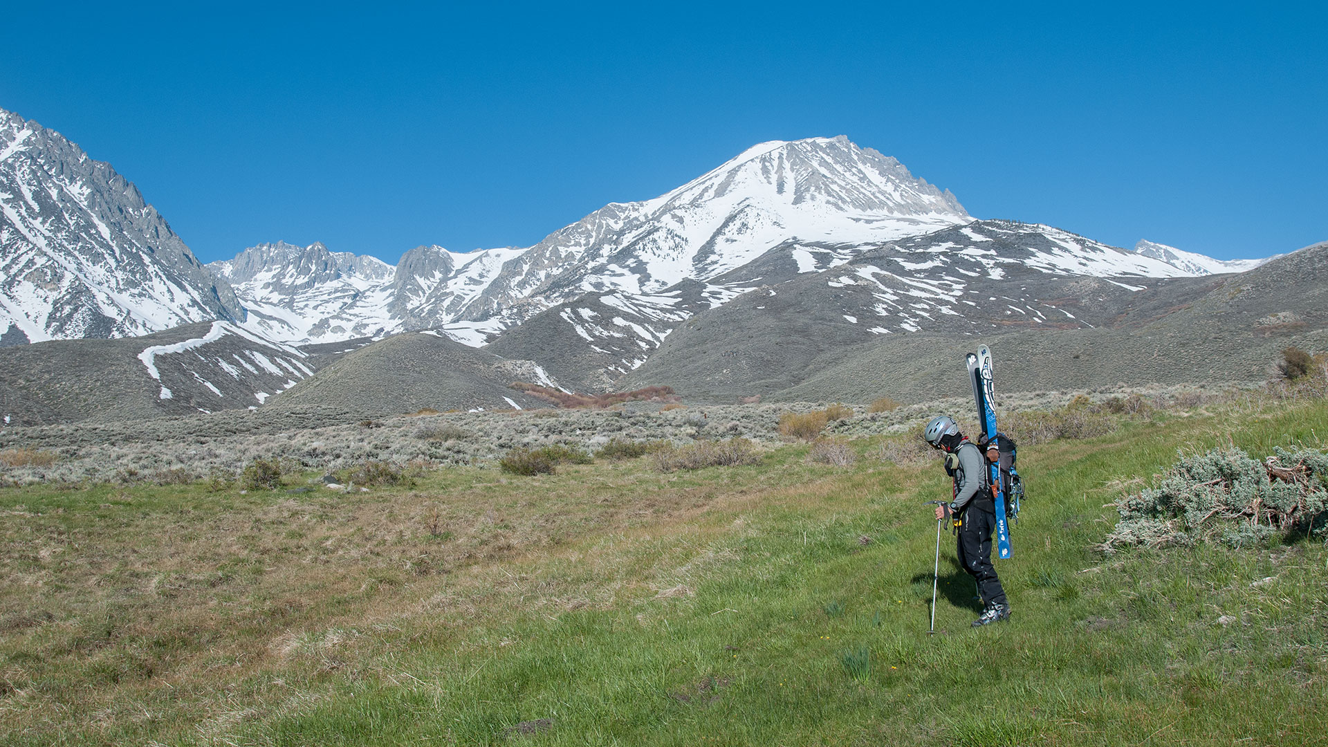 McMurray Meadows & Birch Mountain