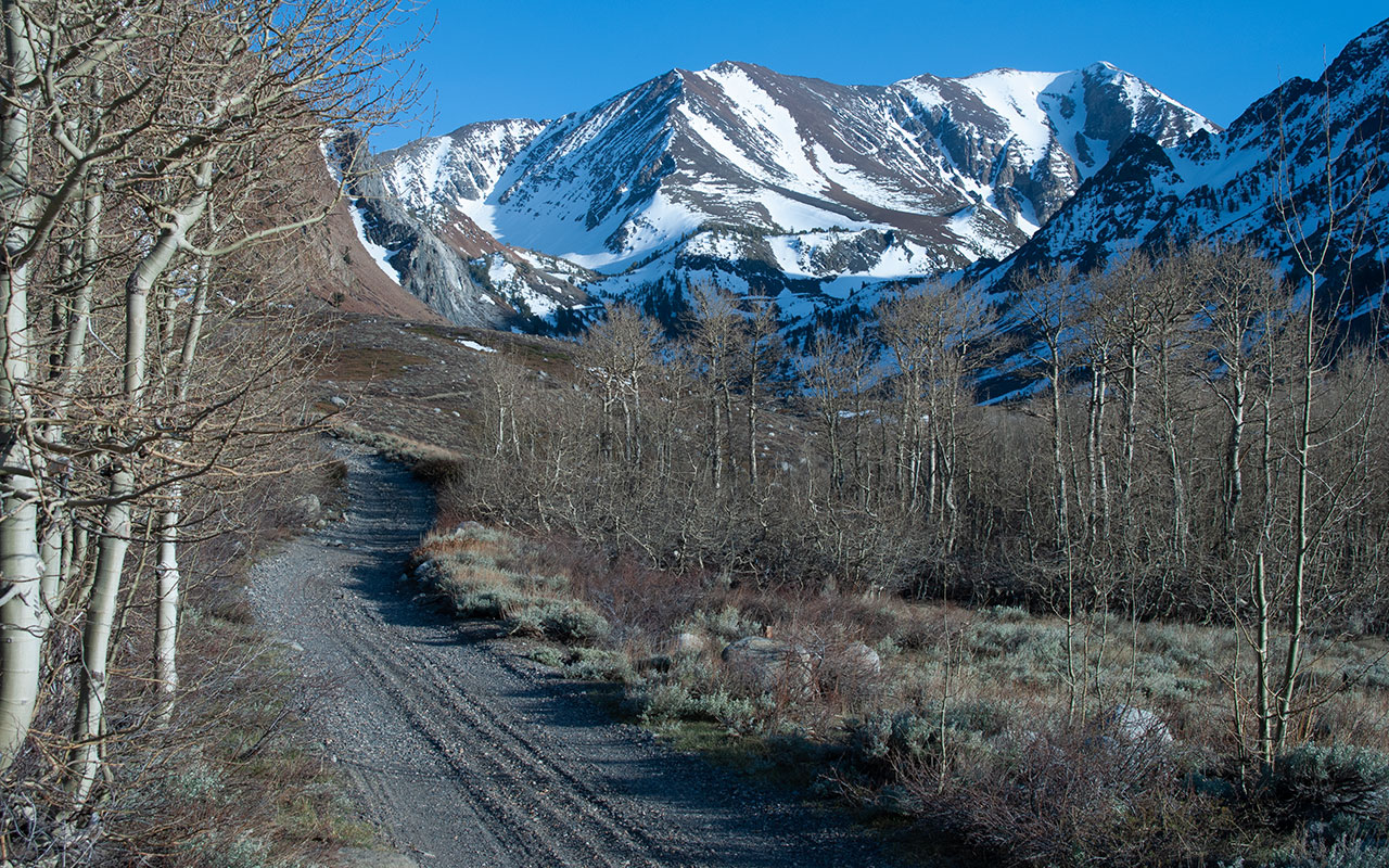 Bloody Mountain & Laurel Lakes Road