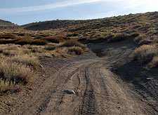 Laurel Lakes Road