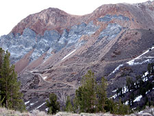 Laurel Lakes Road