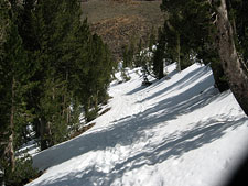 Snowy Laurel Lakes Road