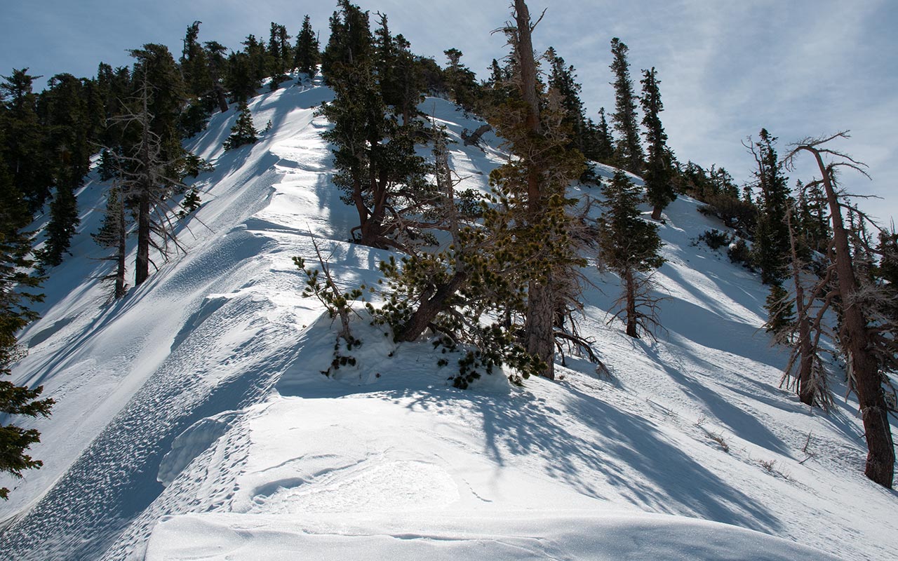 Cucamonga Peak - West Ridge